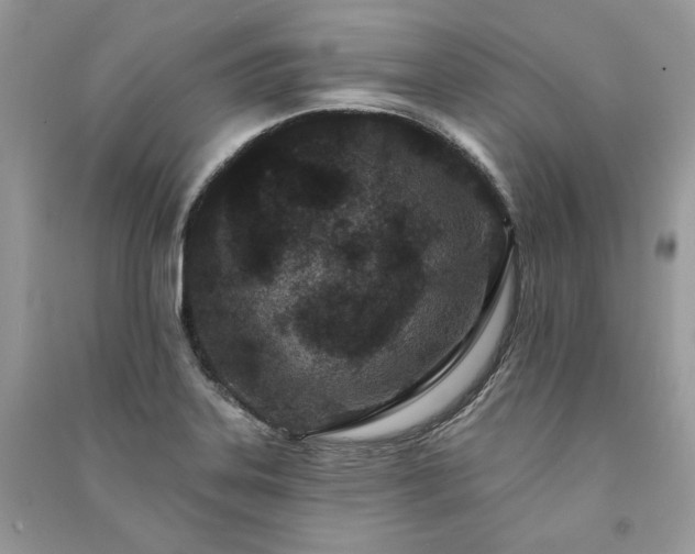 X0000091091323200708131311