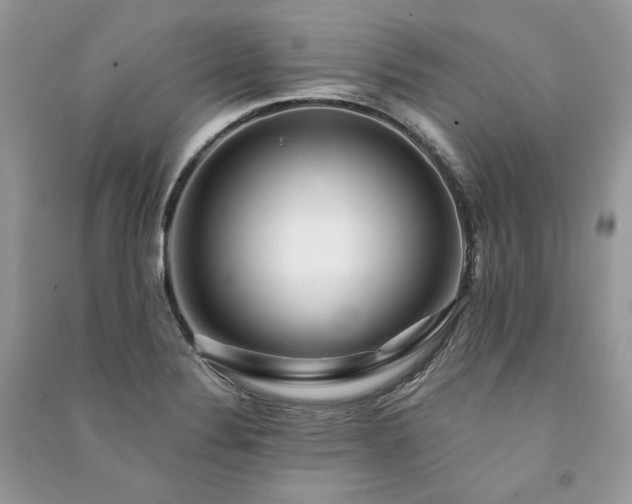 X0000091091324200708131311
