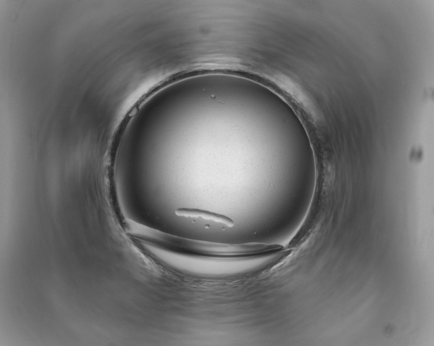 X0000091091325200708131311
