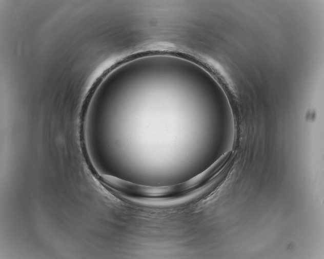 X0000091091326200708131311