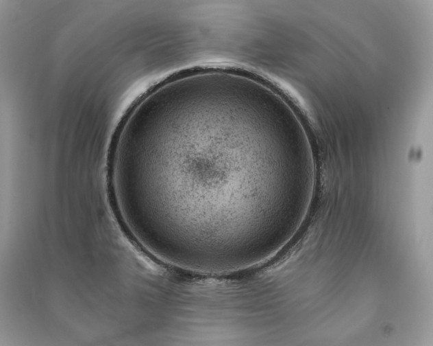 X0000091091327200708131311
