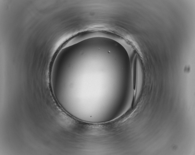 X0000091091328200708131311
