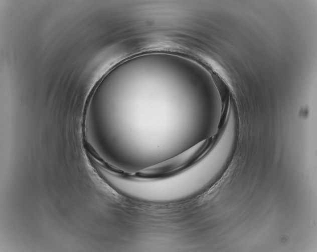 X0000091091330200708131311