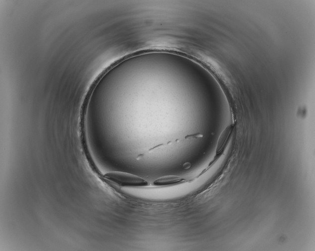 X0000091091331200708131311
