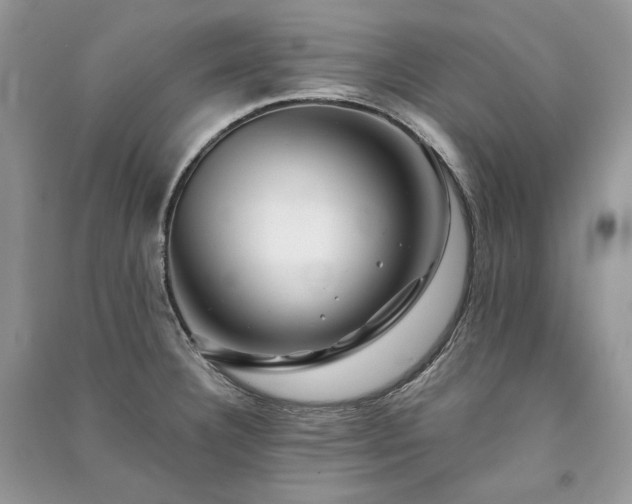 X0000091091332200708131311