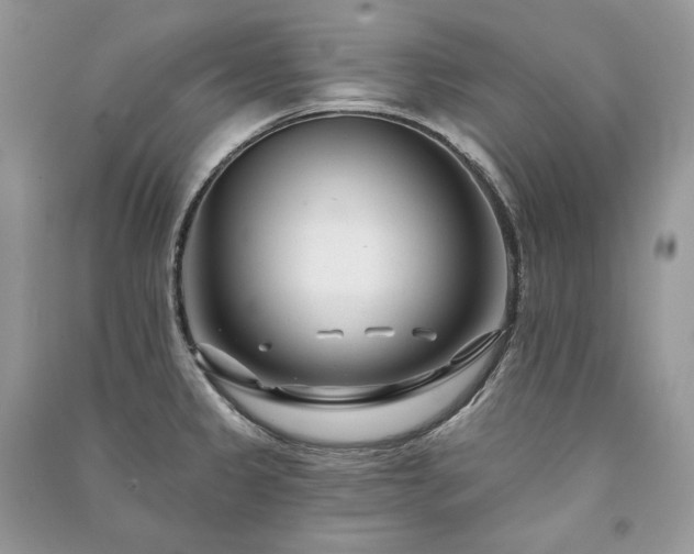 X0000091091333200708131311