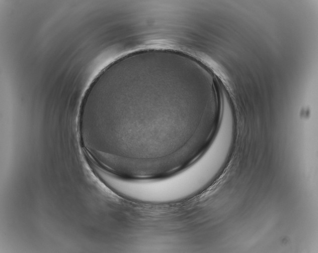 X0000091091334200708131311