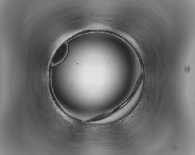 X0000091091335200708131311