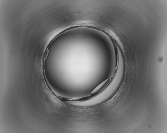 X0000091091336200708131311