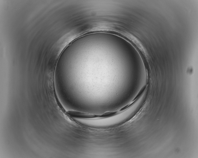 X0000091091337200708131311