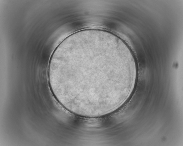 X0000091091338200708131311