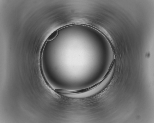 X0000091091339200708131311