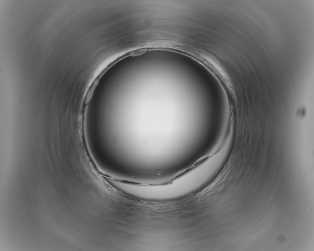 X0000091091340200708131311