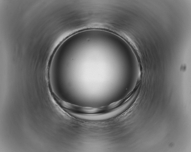 X0000091091342200708131311