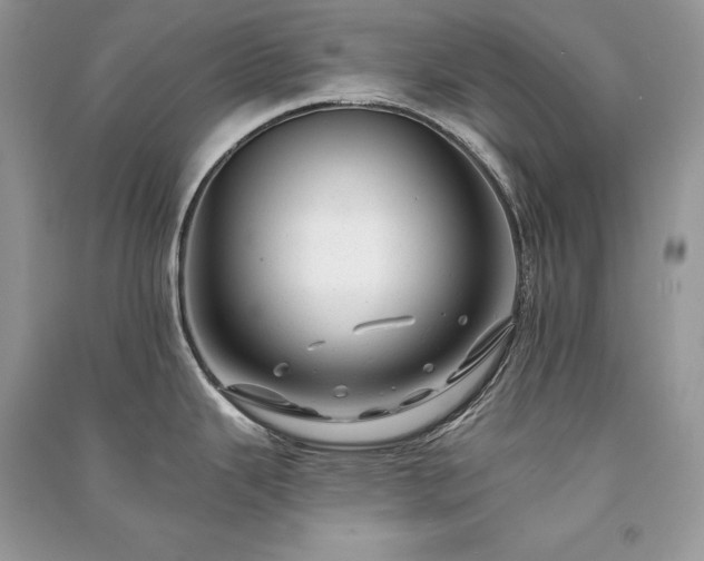 X0000091091343200708131311