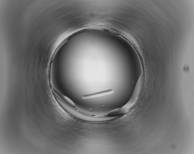 X0000091091344200708131311