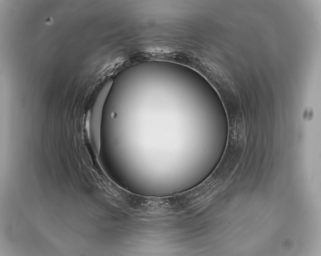 X0000091091346200708131310