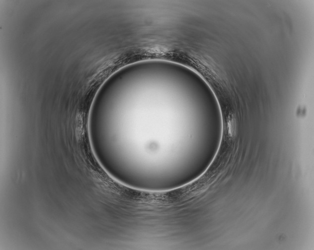 X0000091091347200708131310