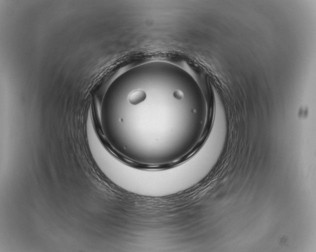 X0000091091348200708131310