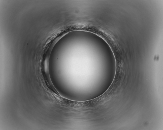 X0000091091349200708131310