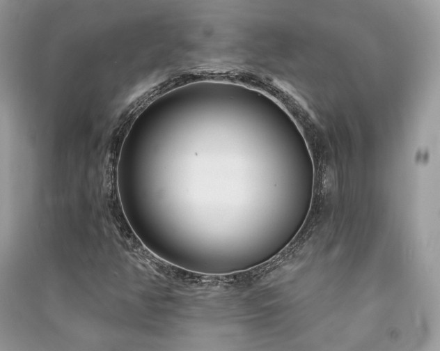X0000091091350200708131310