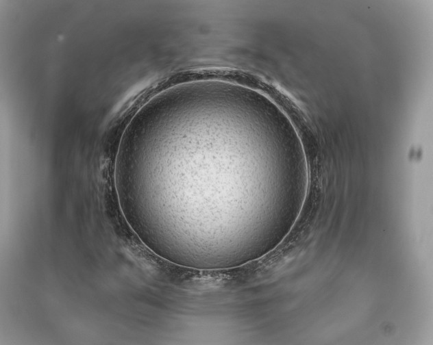 X0000091091351200708131310