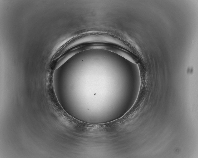 X0000091091352200708131310