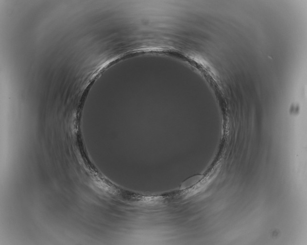 X0000091091353200708131310