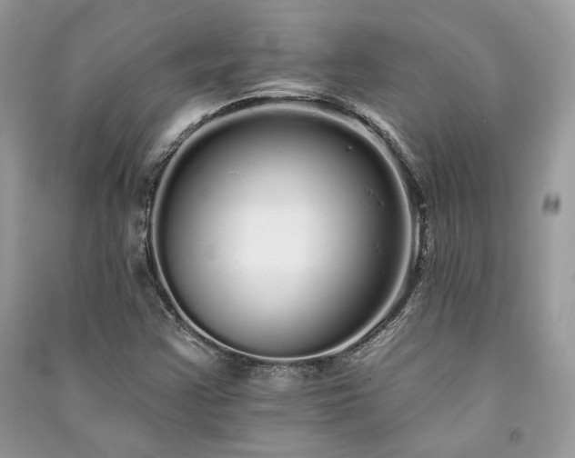 X0000091091355200708131310