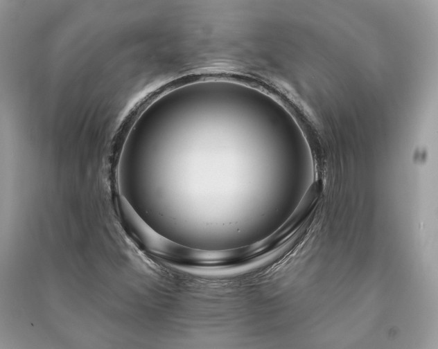 X0000091091356200708131310