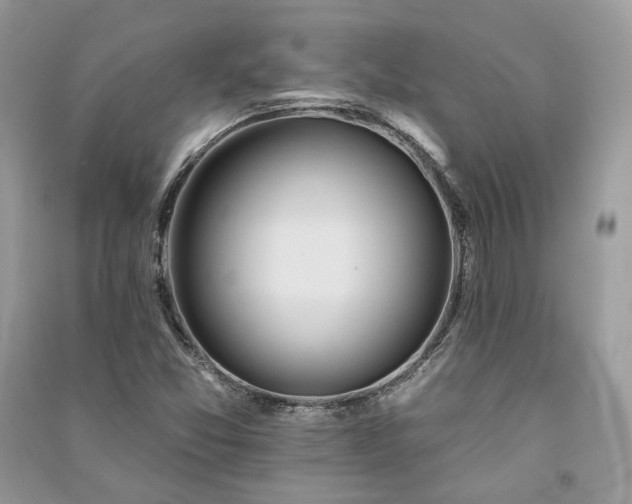 X0000091091357200708131310