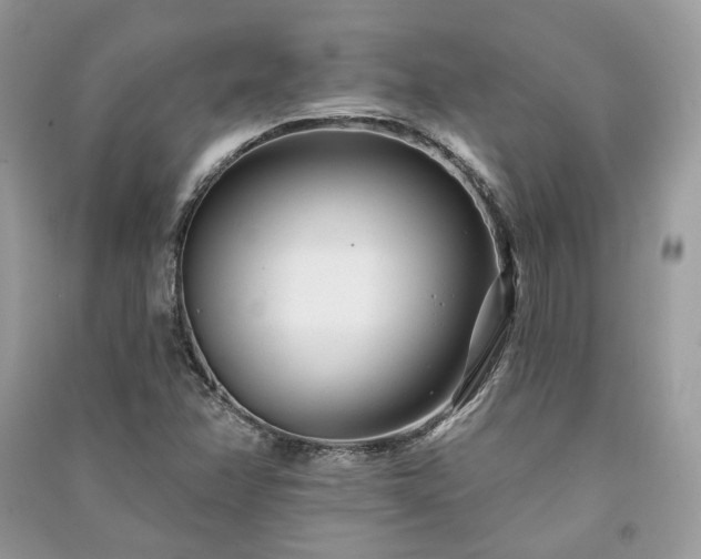 X0000091091358200708131310