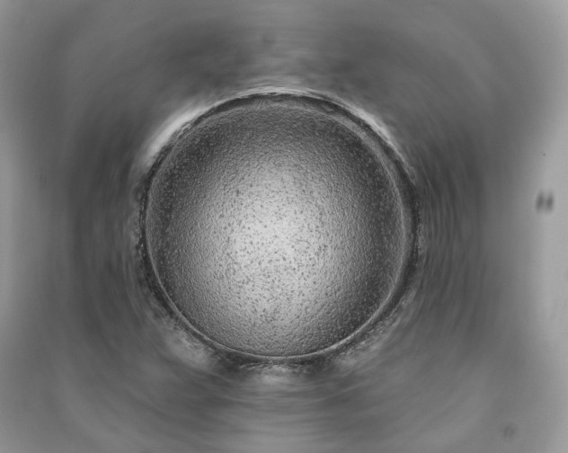 X0000091091359200708131310
