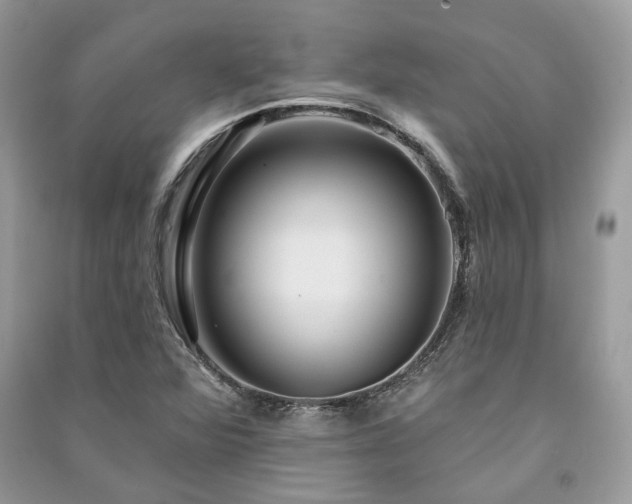 X0000091091360200708131310