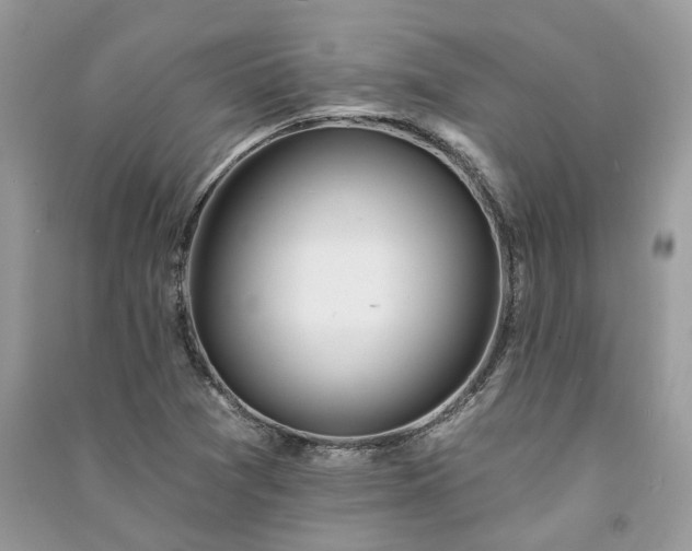 X0000091091361200708131310