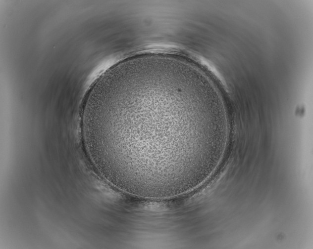 X0000091091362200708131310