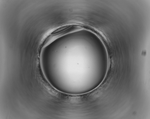 X0000091091363200708131310