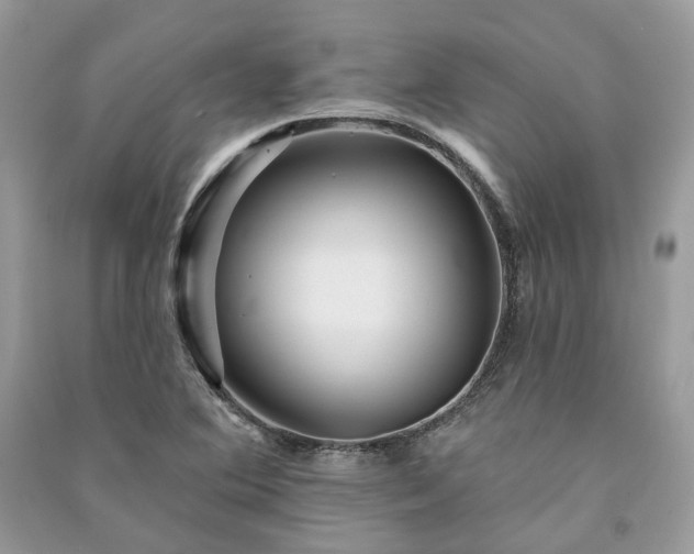 X0000091091364200708131310