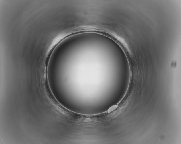 X0000091091365200708131310