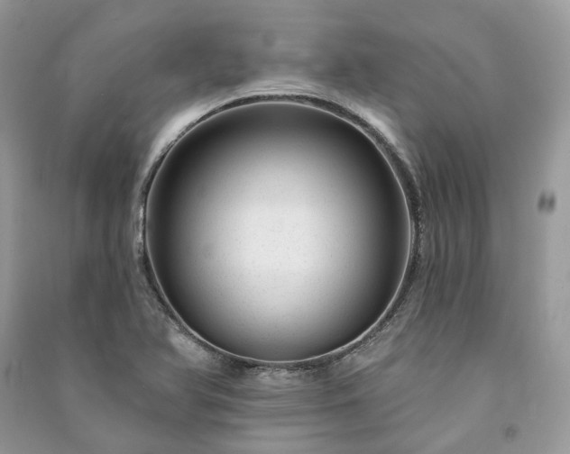 X0000091091366200708131310