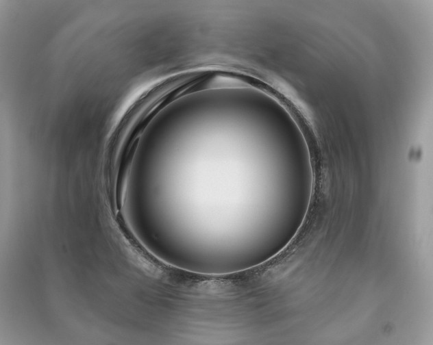 X0000091091368200708131310