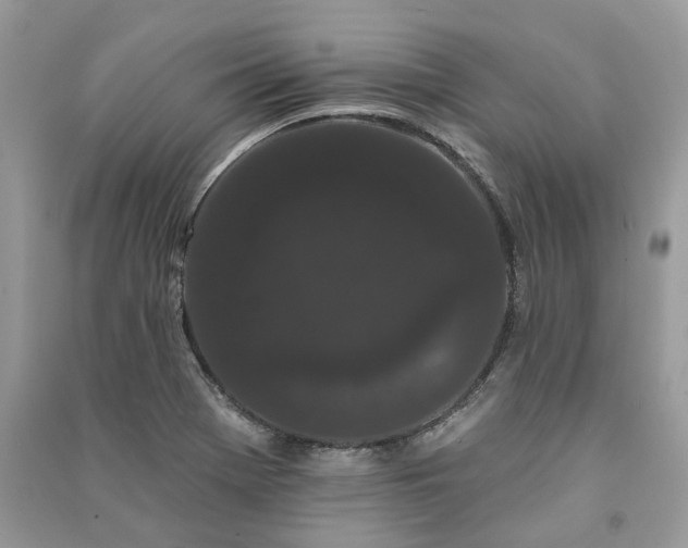 X0000091091369200708131310