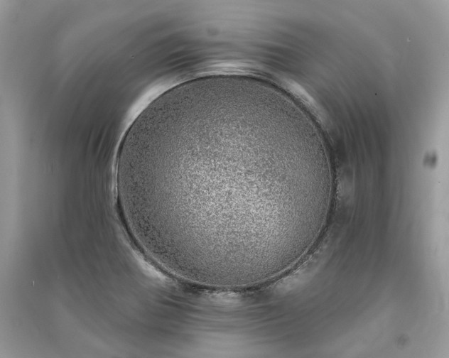 X0000091091370200708131310