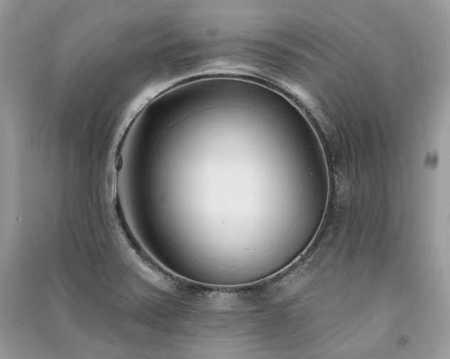 X0000091091371200708131310
