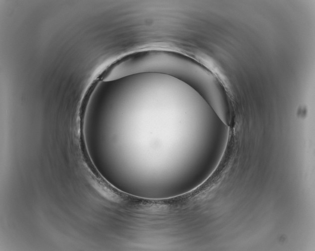 X0000091091372200708131310