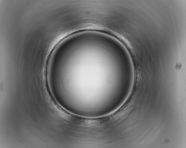 X0000091091375200708131310