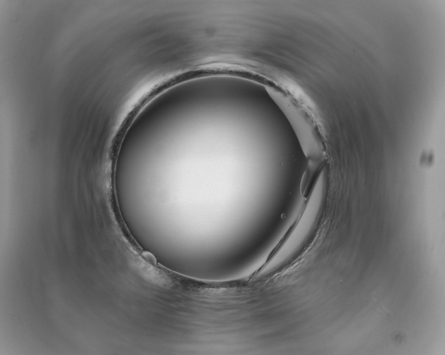 X0000091091376200708131310