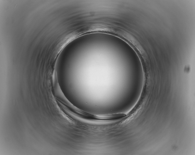X0000091091377200708131310