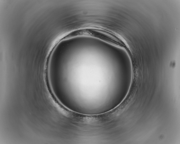 X0000091091379200708131310