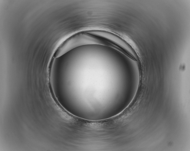X0000091091380200708131310